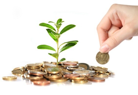 Venture Capitalists (Tavakkalchi Sarmoyadorlar)